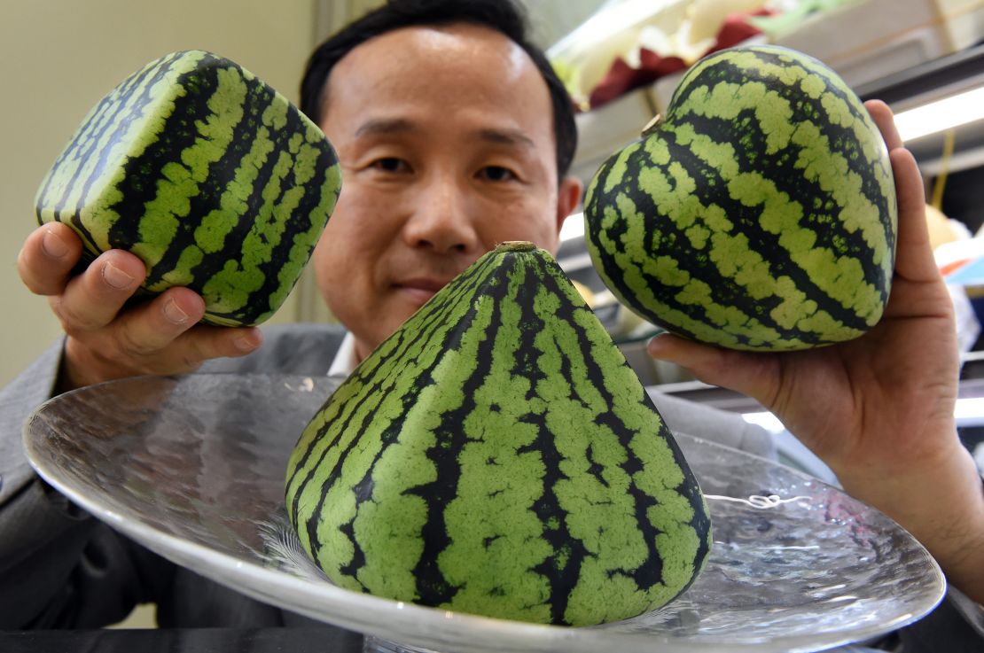 Carefully shaped watermelons are among the expensive fruit prized in Japan as gifts.