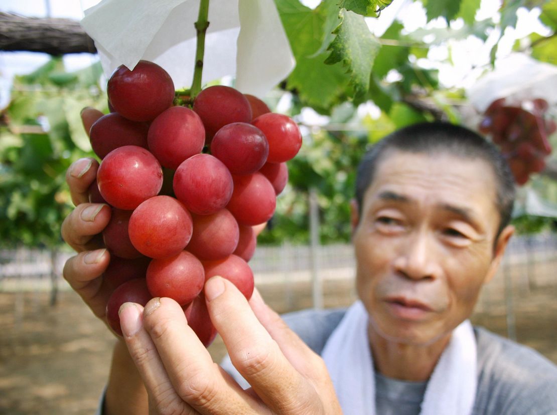Ruby Roman grapes, grown in central Japan, are among the most expensive in the world, prized for their sweetness and low acidity. 
