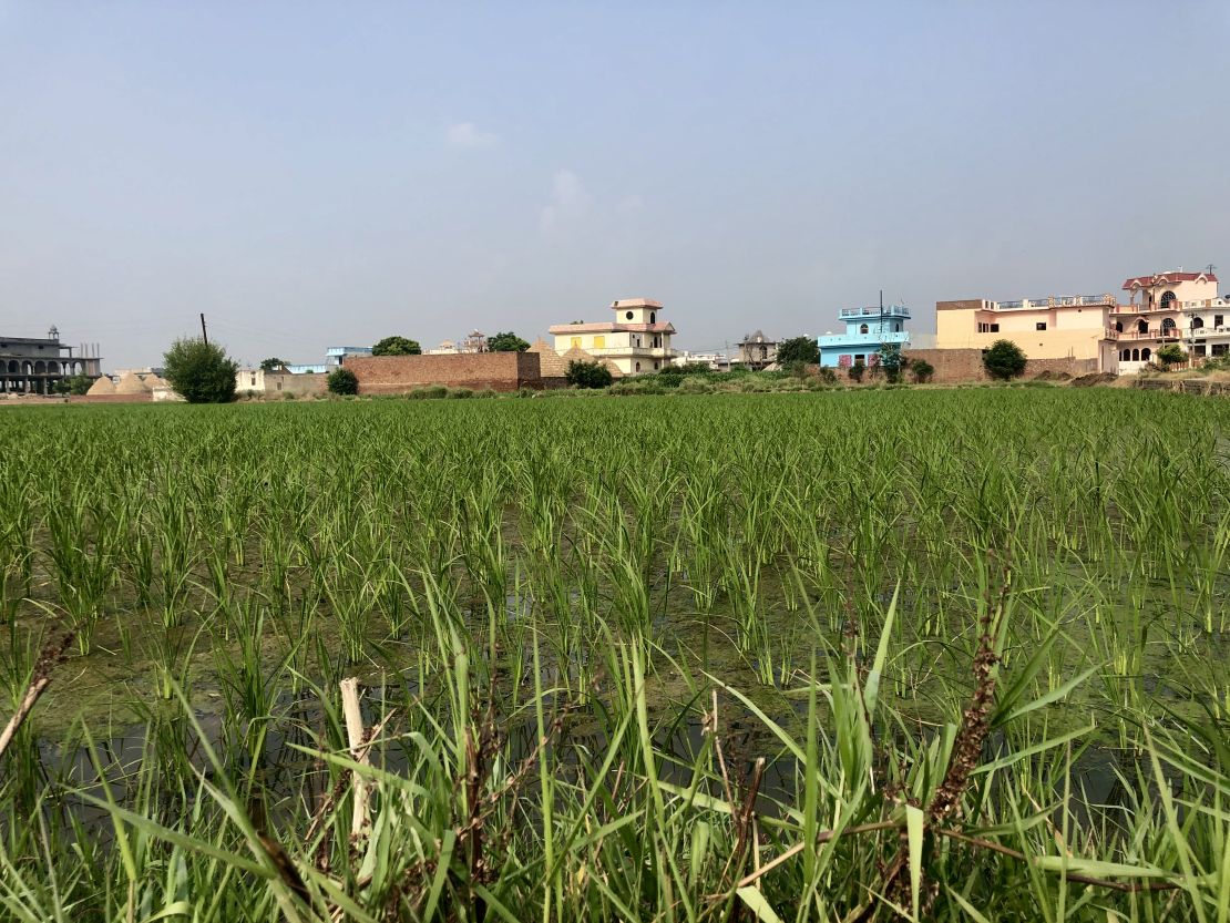 In Hasanpur, a village in the Kurukshetra district in the northern Indian state of Haryana, farming is the main source of income.