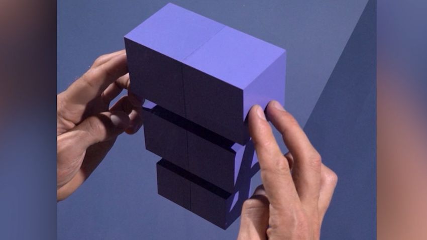 Rogier van der Zwaag Instagram illusion videos pkg vpx_00000000.jpg