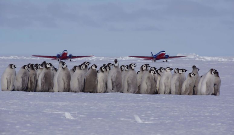 <strong>Antarctic flying:</strong> In recent years, companies including White Desert from Cape Town, South Africa, have pioneered day trip and single overnight flights to the continent.