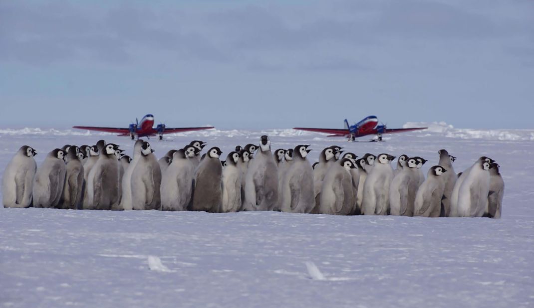 <strong>Antarctic flying:</strong> In recent years, companies including White Desert from Cape Town, South Africa, have pioneered day trip and single overnight flights to the continent.