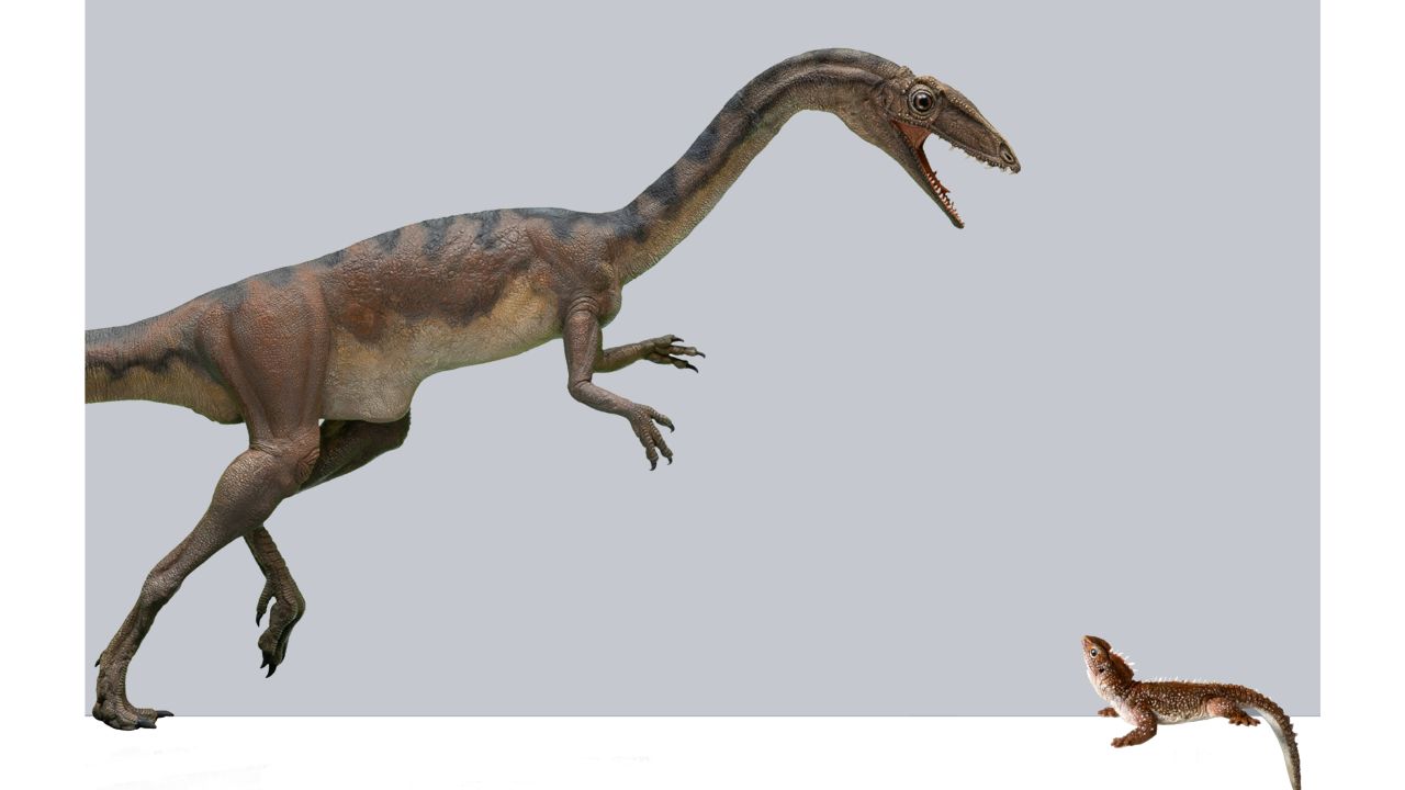 New Dinosaur Species Could Explain Tyrannosaurus Rex Evolution