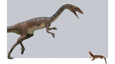 03 new dinosaur species