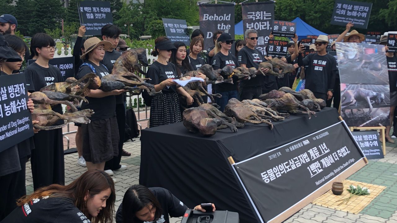 Basinger joined activists from animal rights group Last Chance for Animals on Friday.