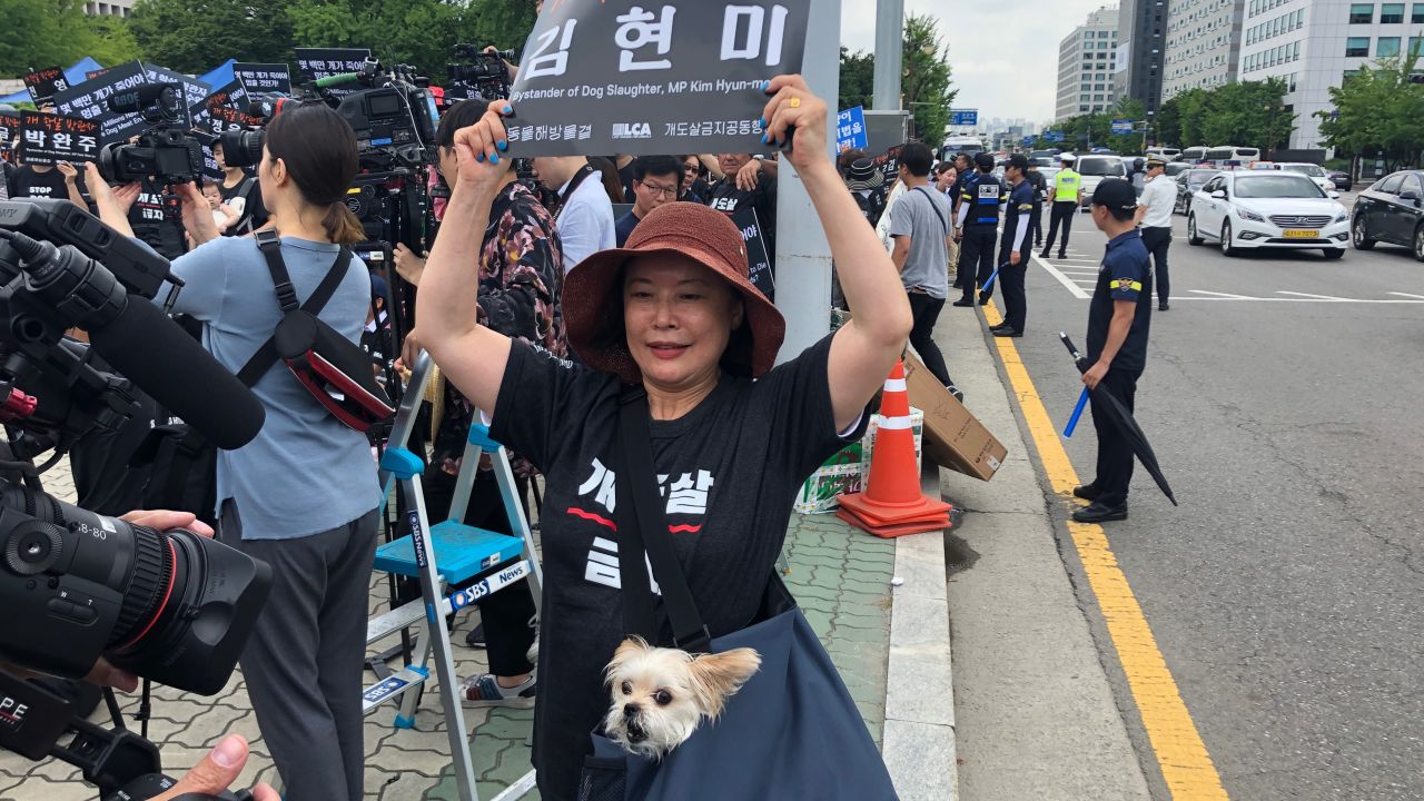 A protester against the dog meat trade holds up a sign reading "Bystander of Dog Slaughter, MP Kim Hyun-mee" outside South Korea's National Assembly.