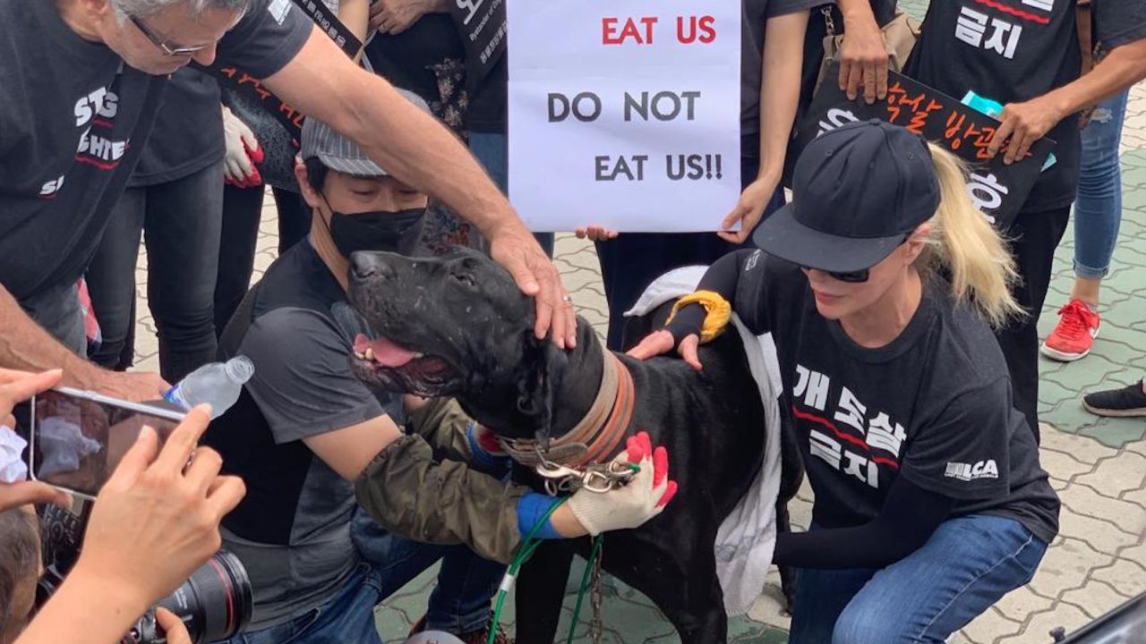 The actress pets a dog rescued from a dog farm in Seoul.