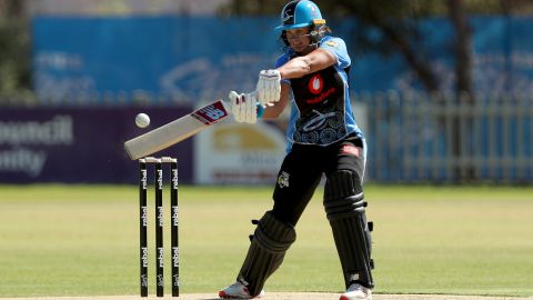 When you're used to baseball bats it looks like cricketers are swinging a surfboard.