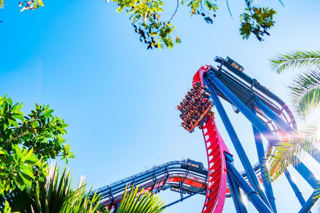 SheiKra's descent is one of the most memorable in the world.