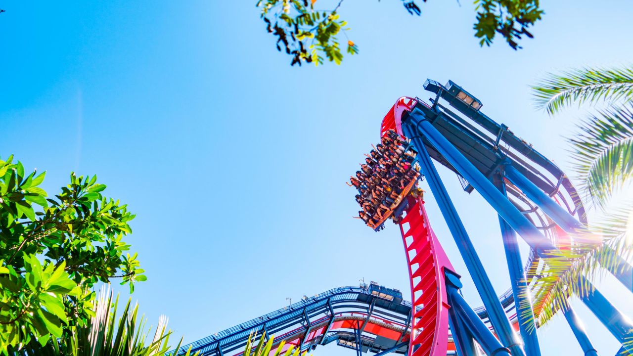 SheiKra's descent is one of the most memorable in the world.