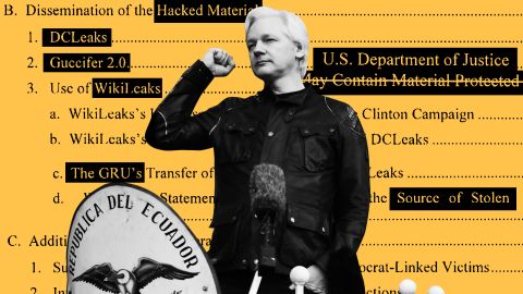 RESTRICTED assange embassy exclusive documents