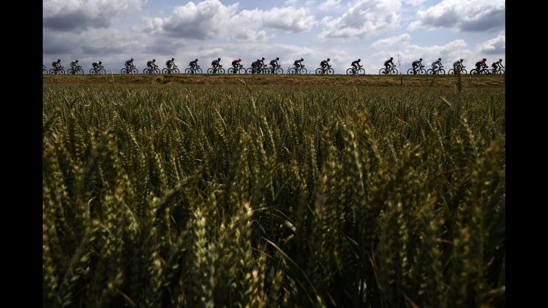 Cyclists ride in the countryside during the third stage of the Tour de France between Binche, Belgium and Epernay, France, on Monday, July 8.