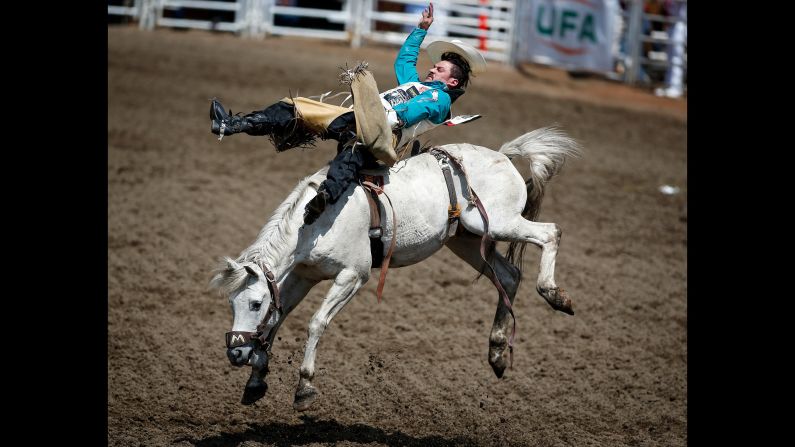 Ty Taypotat, of Regina, Saskatchewan, rides AKA during bareback rodeo action at the Calgary Stampede in Calgary, Canada, on Sunday, July 7.