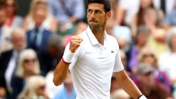 Novak Djokovic proved the stronger player in the first and third set tiebreaks during his Wimbledon singles final against eight-time champion Roger Federer.