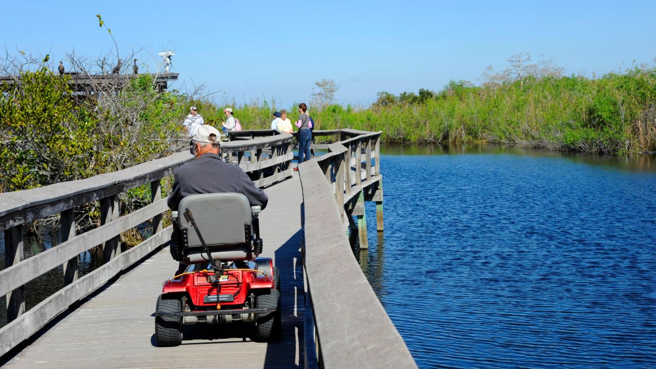 <strong>People in wheelchairs at Everglades National Park (Florida): </strong>People who use wheelchairs can get up close and personal to the water, plants and animals in the Everglades in South Florida. 