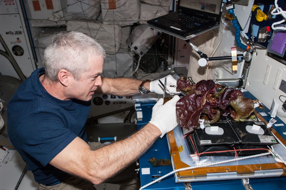 The Vegetable Production System known as 'Veggie' deployed on the International Space Station to produce salad-type crops, in this case red romaine lettuce. The system uses highly efficient, long-lasting and low heat LEDs. 