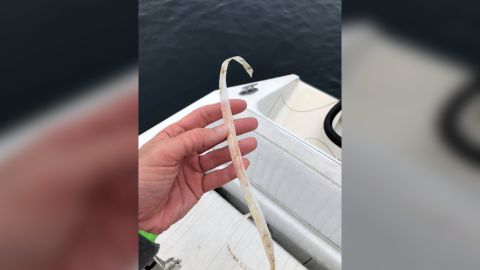 Sulikowski said the plastic is similar to that used on commercial bait boxes.