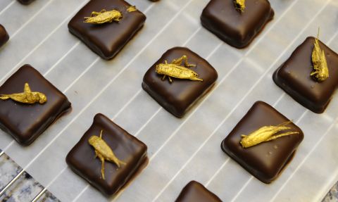 Gold-coated crickets were used to top chocolates in chocolate maker Sylvain Musquar's store in northeastern France. The chocolatier had the idea of placing mealworms or crickets on his chocolates after working in Japan and South Korea. 