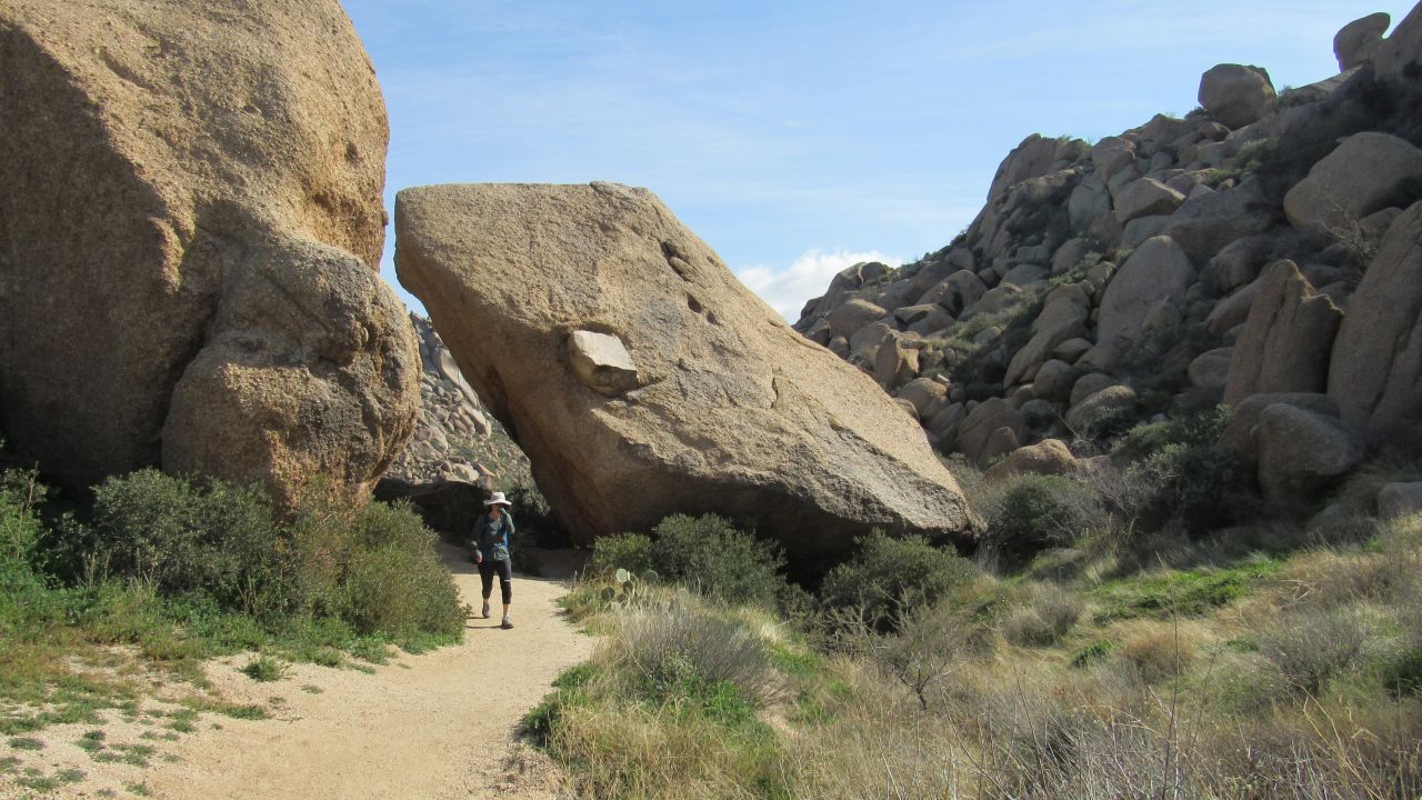 Hiking through an "alive" desert.