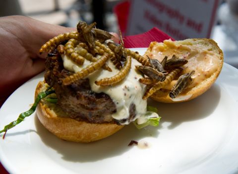 This grasshopper burger is piled high with dried crickets and mealworms. It was served during a global "Pestaurant" event sponsored by US pest control company Ehrlich.