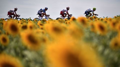 Anthony Perez, Lilian Calmejane, Stephane Rossetto and Thomas De Gendt pass by fields of sunflowers during last year's Tour de France.
