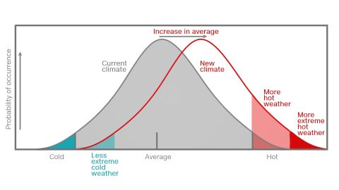 As you increase the average temperature, you would expect to see more extreme hot weather while also seeing fewer instances of extreme cold. 