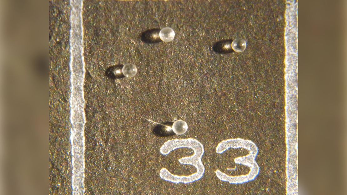 Mike Meyer mounted the microtektites on micropaleontology slides. 