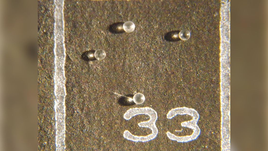 Mike Meyer mounted the microtektites on micropaleontology slides.