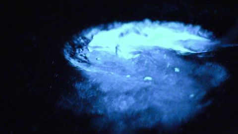 Agitating the water causes the tiny organisms to glow.
