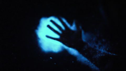 Dinoflagellates in the water create an eerie bioluminescence.