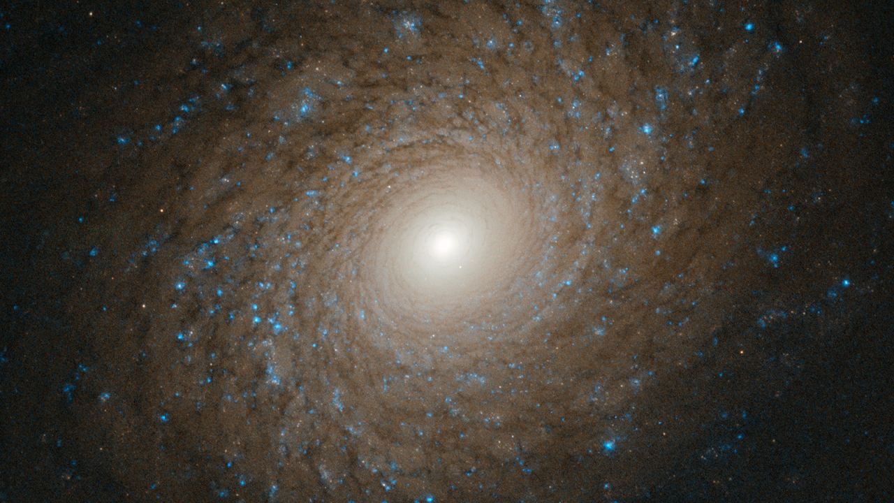Spiral galaxy NGC 2985 lies roughly over 70 million light years from our solar system in the constellation of Ursa Major. 