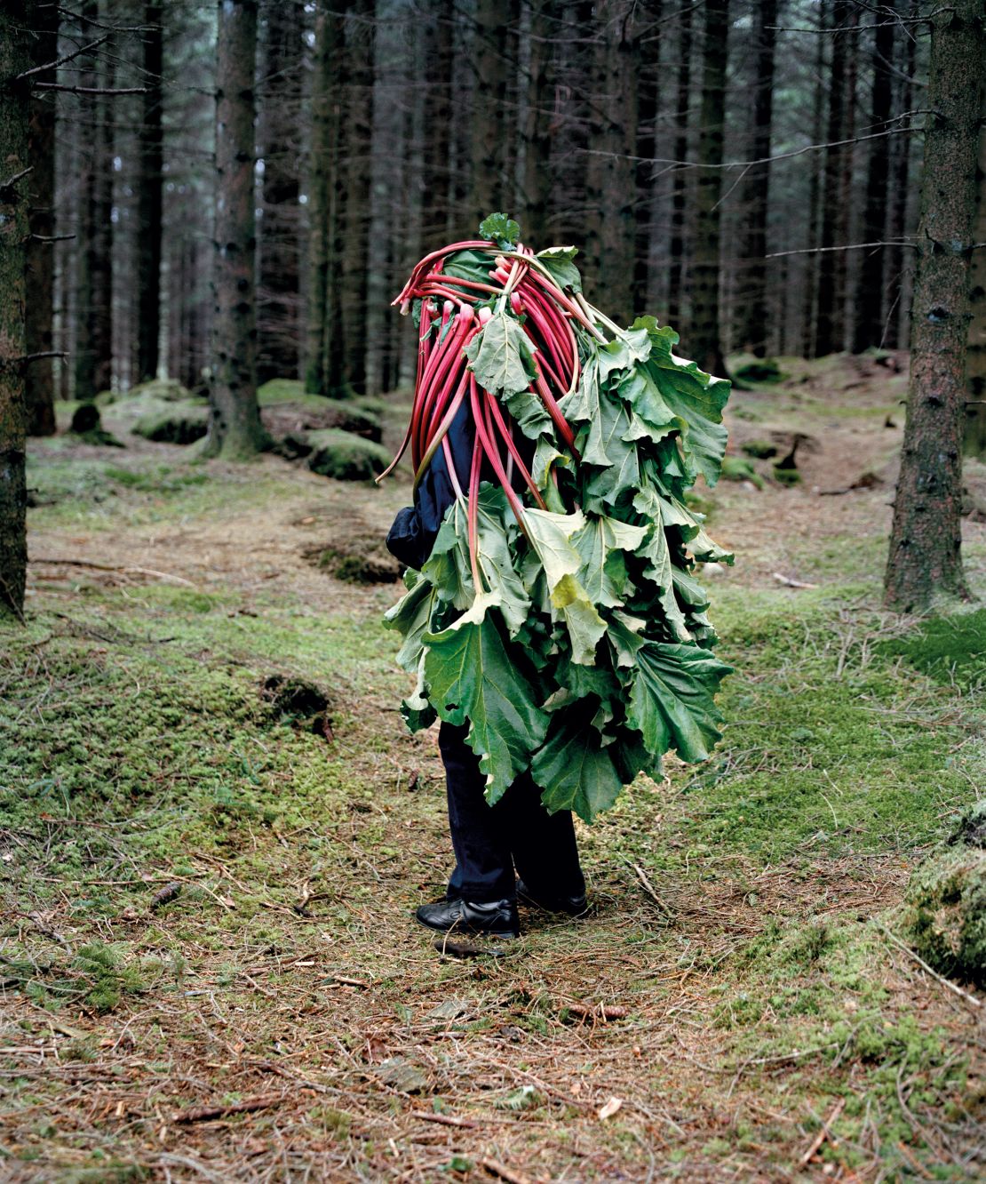 Photographers Ikonen and Hjorth transformed Astrid, a Norwegian bridge player, into Huldra, a menacing but seductive figure from Nordic folk tales characterized by her long hair.