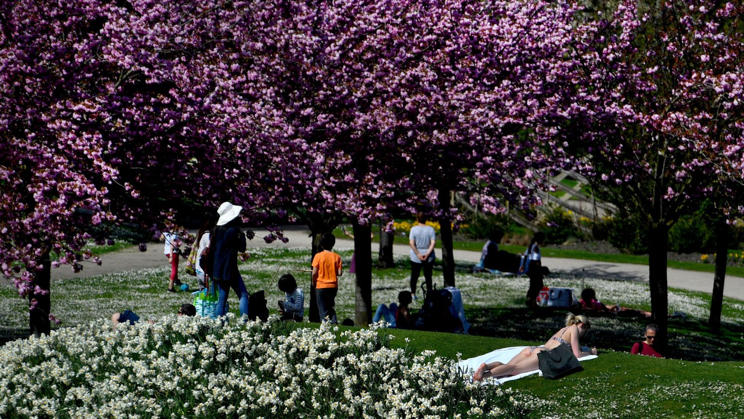 People enjoy a sun bath at the Parc Floral of the Bois de Vincennes in Paris on April 18, 2018. (Photo by GERARD JULIEN / AFP)        (Photo credit should read GERARD JULIEN/AFP/Getty Images)