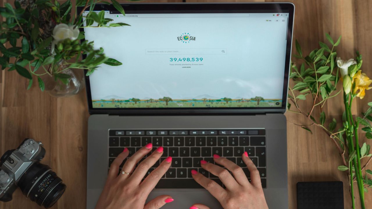 Ecosia The search for a greener takes root CNN