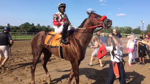 Mr Changue at the race track.