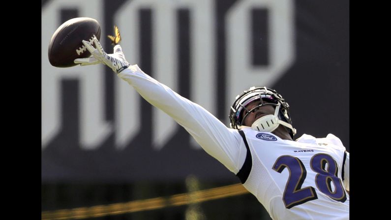 A butterfly flutters nearby as Baltimore Ravens defensive back Justin Bethel reaches for the ball during NFL training camp in Owings Mills, Maryland, on Friday, July 26.