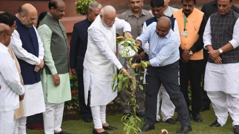 Prime Minister Narendra Modi plants a sapling as part of a wider plantation campaign, in New Delhi, India, July 26, 2019. 