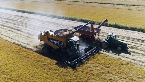 Sun Valley sources rice from 200 farms in California, or about 10% of the crop grown in the state.