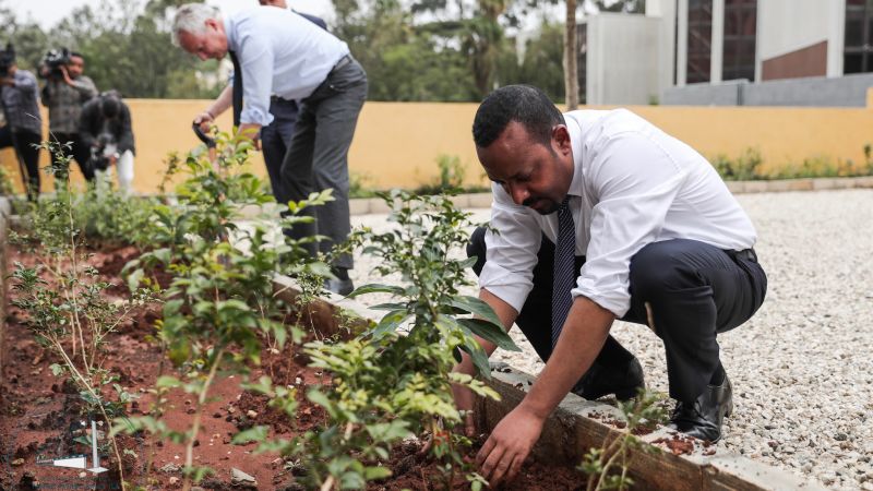 Ethiopia plants more than 350 million trees in 12 hours | CNN