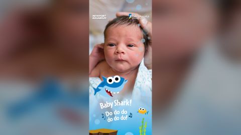 A Baby Shark Snapchat filter was activated at The Christ Hospital's Mt. Auburn and Liberty Township birthing centers, as well as Newport Aquarium.
