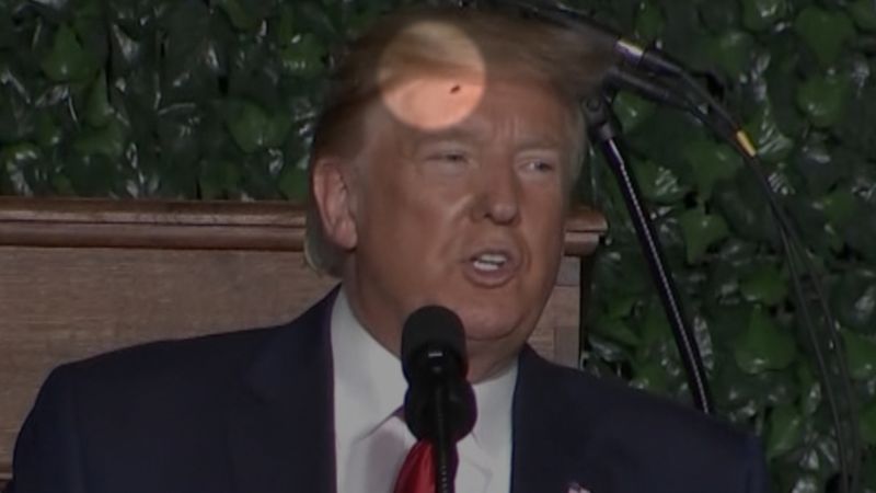 Internet buzzes over bug in Trump s hair