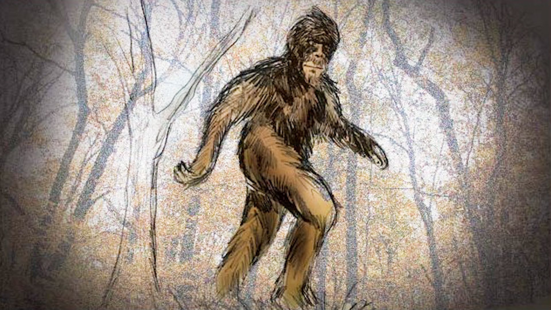 A drawing of Bigfoot