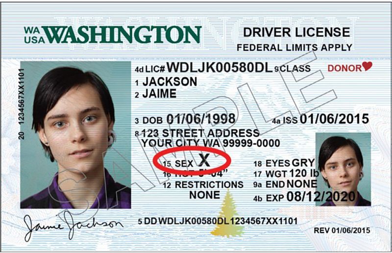 What Does Class F Mean On Missouri Drivers License Outstanding Home   190801151708 Washington State Gender Id 