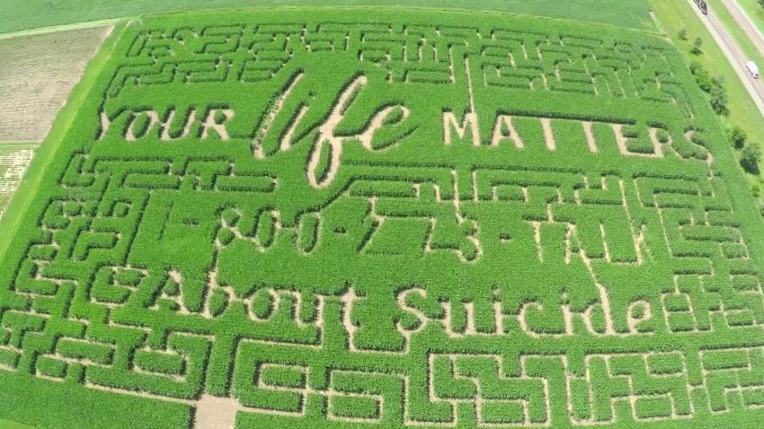 corn maze suicide prevention trnd