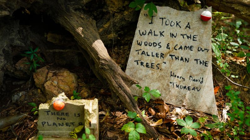 <strong>Literary inspiration:</strong> Someone along the trail felt inspired enough to leave a quote from American naturalist Henry David Thoreau of "Walden Pond" fame: "I took a walk in the woods and came out taller than the trees."