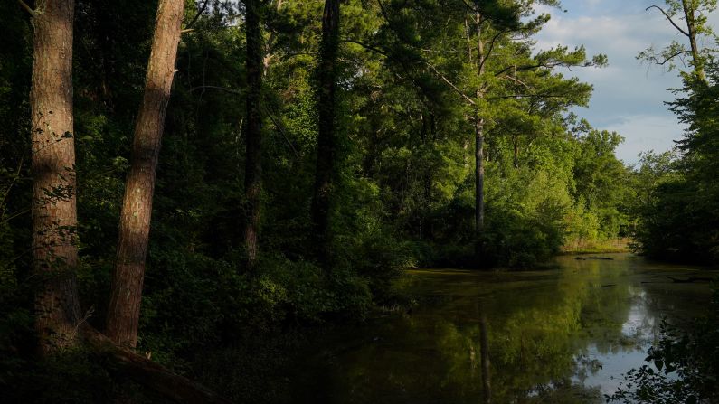 <strong>Lakeside:</strong> A small inlet is seen along the lake near the Doll's Head Trail. This can be a good spot for bird-watching.