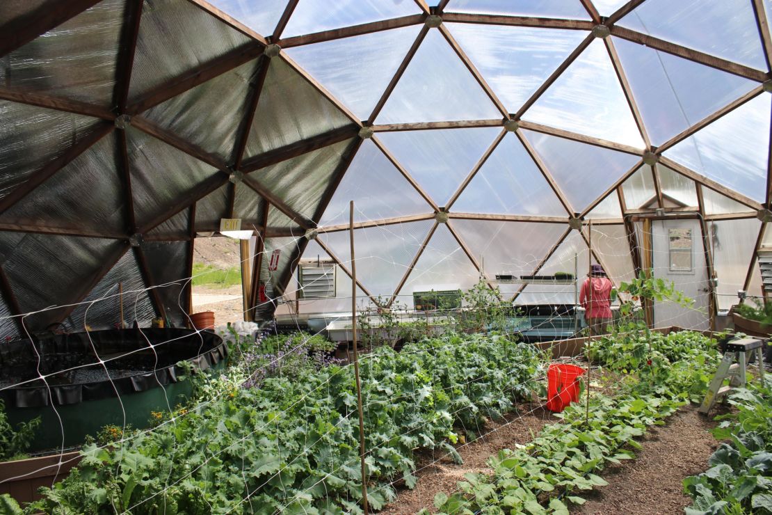 The Cloud City Conservation Center grows vegetables in a pair of greenhouses, and sells the produce through a community-sponsored agricultural program.