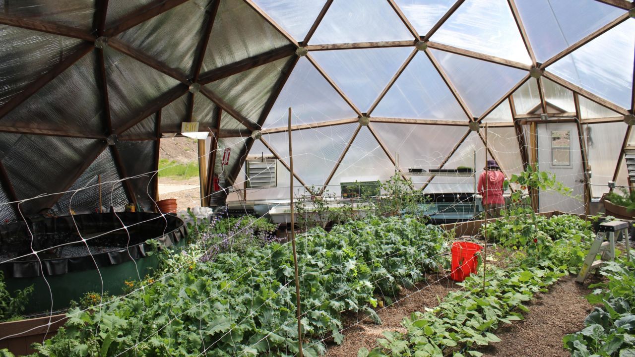 The Cloud City Conservation Center grows vegetables in a pair of greenhouses, and sells the produce through a community-sponsored agricultural program.