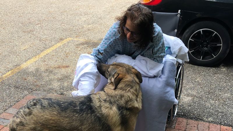 A woman lost her hands and legs to an infection from puppy kisses picture