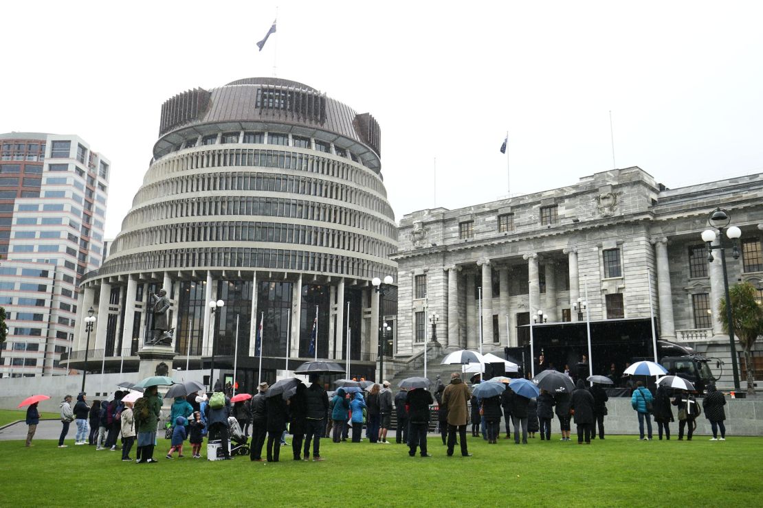 Anti-abortion protesters gathered on May 28 in Wellington to protest changes to the law.